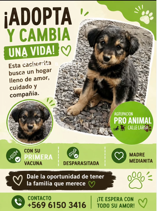 Pequeña
